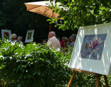 „Garten-Kultour“ in Kernen