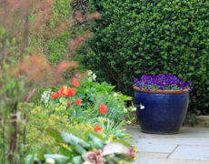 Einladung zu den „Offenen Gärten 2022“