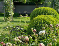 Garten Vollmer-Pachl in Göppingen-Bezgenriet