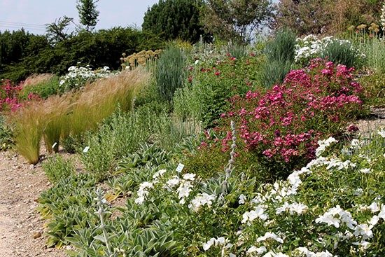 garten_nuertingen_braike12