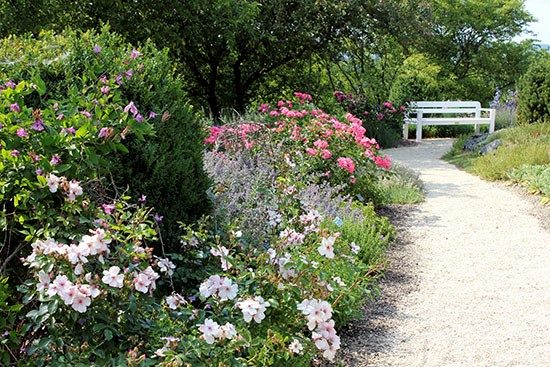 garten_nuertingen_braike11