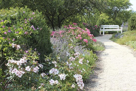 garten_nuertingen_braike10