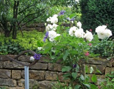 Ein ganz anderer Kalender