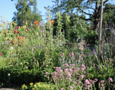 Geheimnisse gesunder Böden