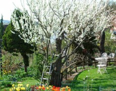 Gartenfreunde Seracher Heide e.V. in Esslingen-Serach