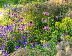 Garten Funke in Ohmden