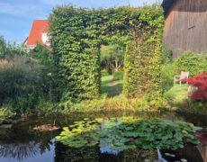 Garten Günthner-Müller in Leonberg