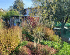 Garten Hobelsberger in Neuhausen/F.