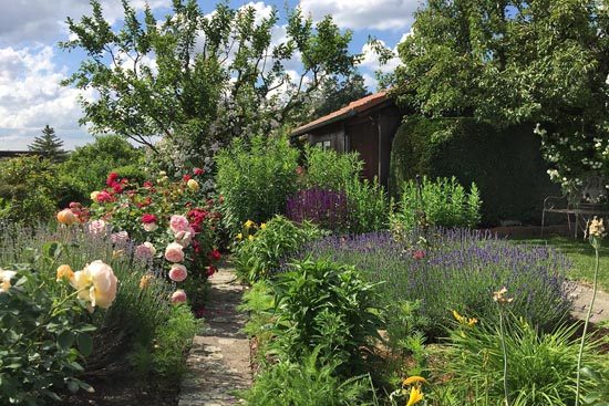 garten-esslingen-seracher heide10