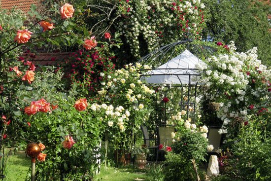 garten_schlierbach_spindler5