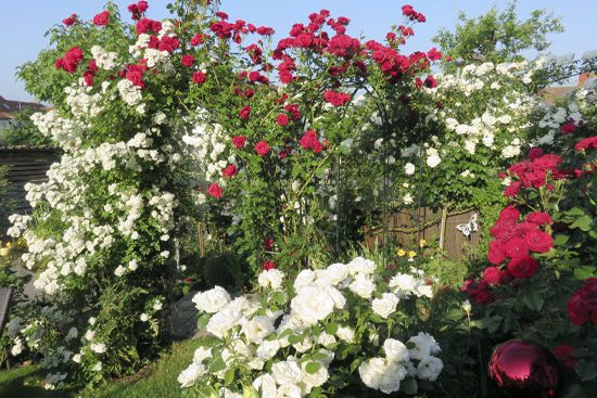 garten_schlierbach_spindler4