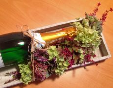 Treffen bei Wragge Gärten in Backnang