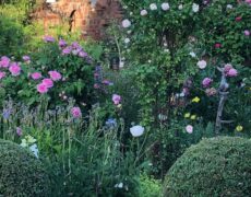 Garten Kerner-Jungfleisch in Dettingen unter Teck