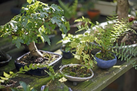 garten_walheim_leuze1