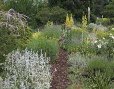 HfWU Lehr- und Versuchsgarten Braike in Nürtingen