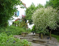 Garten Maier in Ostfildern-Scharnhausen