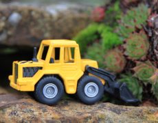 Nachlese 2019: 10 Jahre Offene Gärten in Esslingen und im Mittleren Neckarraum