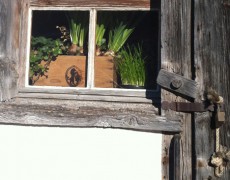 Einladung zu den Offenen Gärten 2016