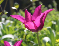 Errata in unserer Broschüre 2016