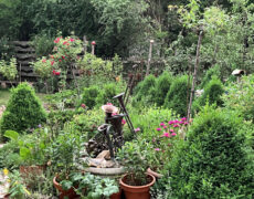 Garten Wünsche/Lipka in Schopfloch