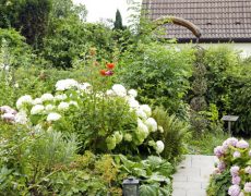 Garten Schnabel in Hemmingen