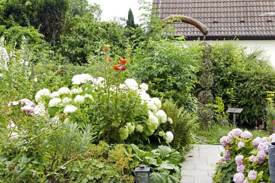 garten_hemmingen_schnabel2