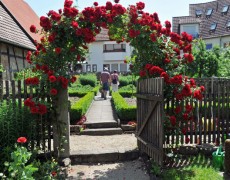 Garten des Museumvereins in Wendlingen