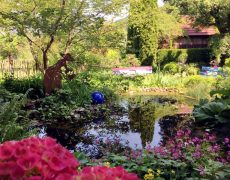 Garten Notz in Dettingen/Erms