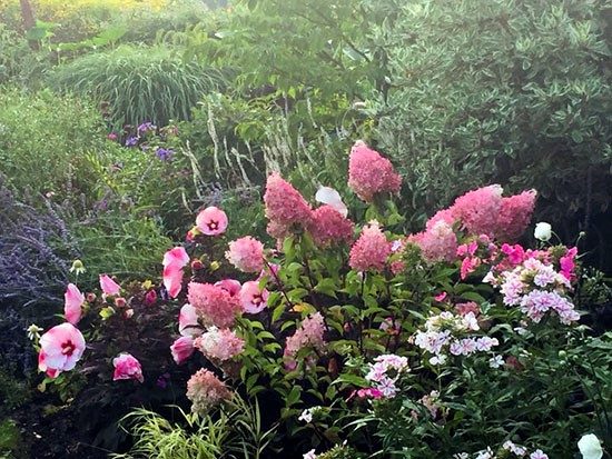 garten_dettingen_erms_notz2