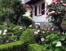 Garten Zelano in Kernen-Stetten