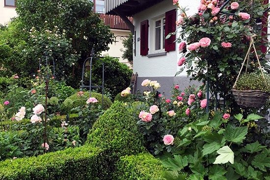 garten_kernen-stetten_zelano3